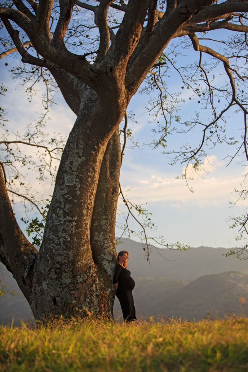 Maternity portrait in front of Guanacaste Tree