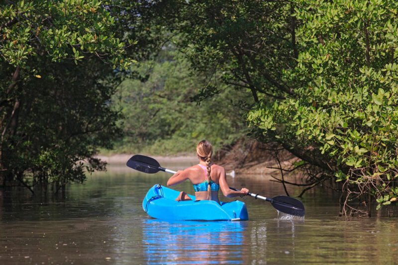 Mangrove Kayaking | Costa Elena