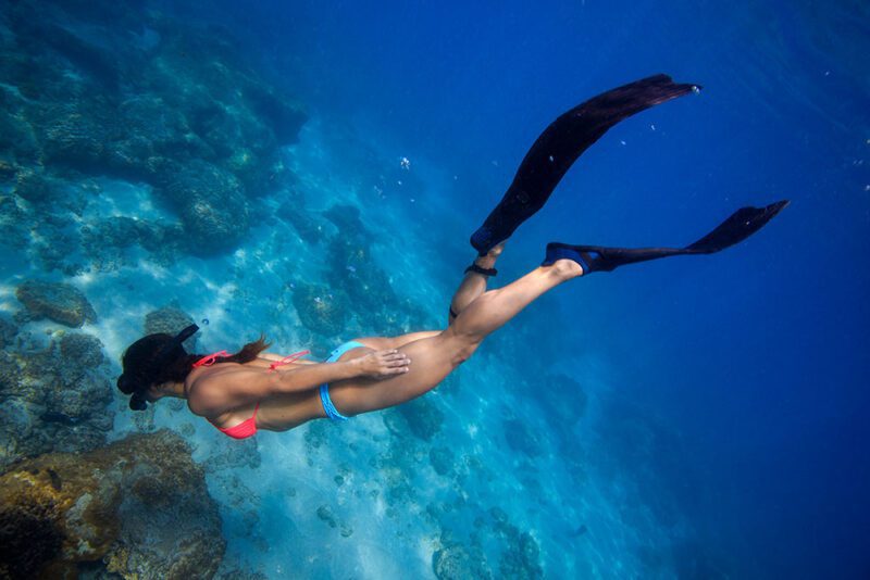 Swim, dive, discover | Tabasco Swimwear