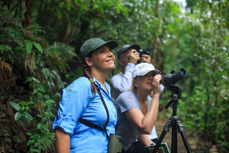 Naturalist guide takes tourists on a forest birdwatching tour - Arenas del Mar | Cayuga Collection